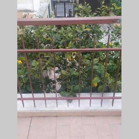 Appto Limone Apartment Lido di Ostia Exterior foto