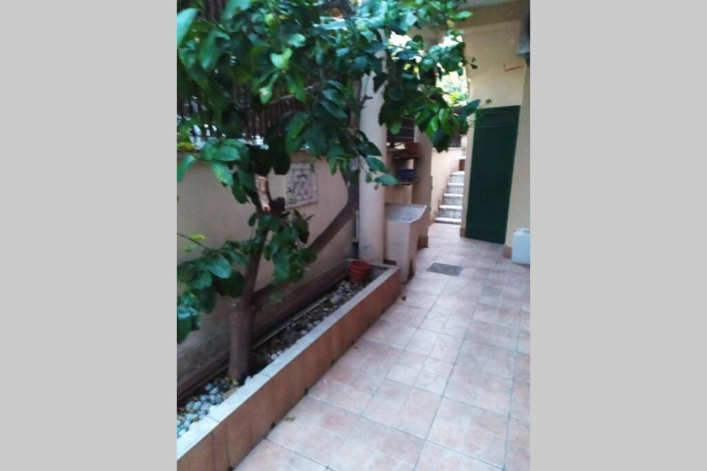 Appto Limone Apartment Lido di Ostia Exterior foto