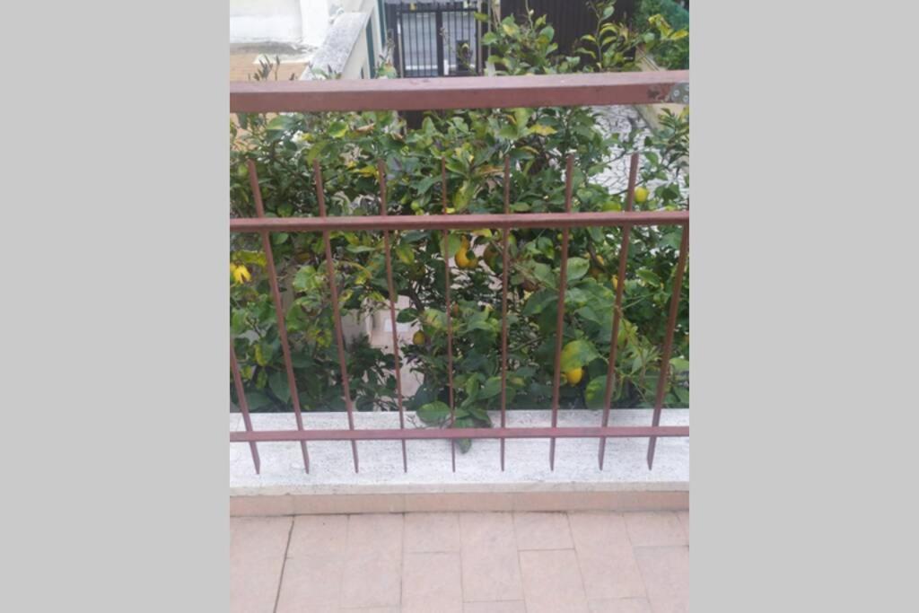 Appto Limone Apartment Lido di Ostia Exterior foto
